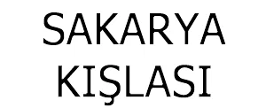 Sakarya Kışlası (Mineral Değişimi)